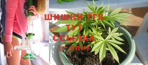 мдпв Елабуга