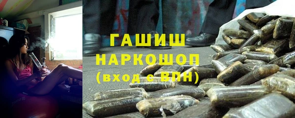 стаф Елизово