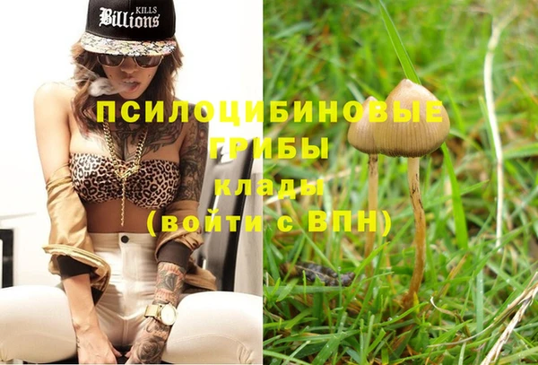 spice Заволжье