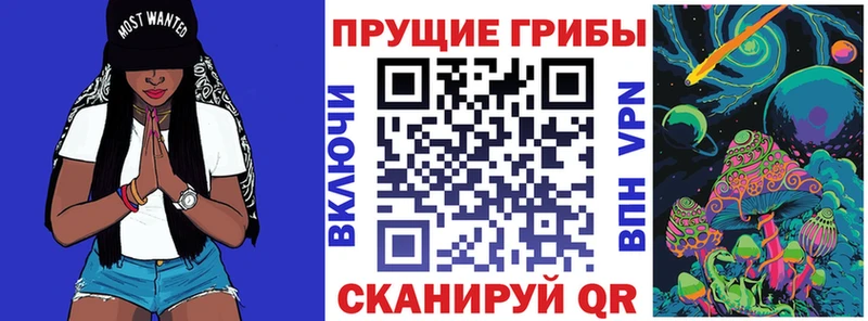mega онион  Рошаль  Галлюциногенные грибы Psilocybe 